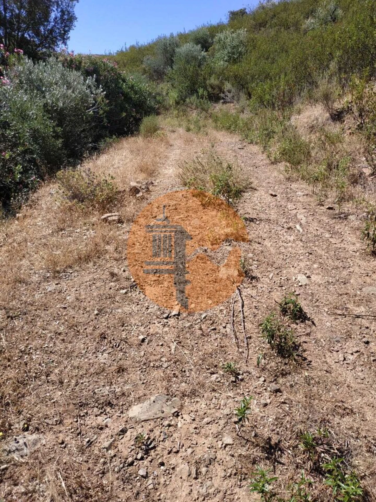 Terreno para Venda em Castro Marim Foto 15
