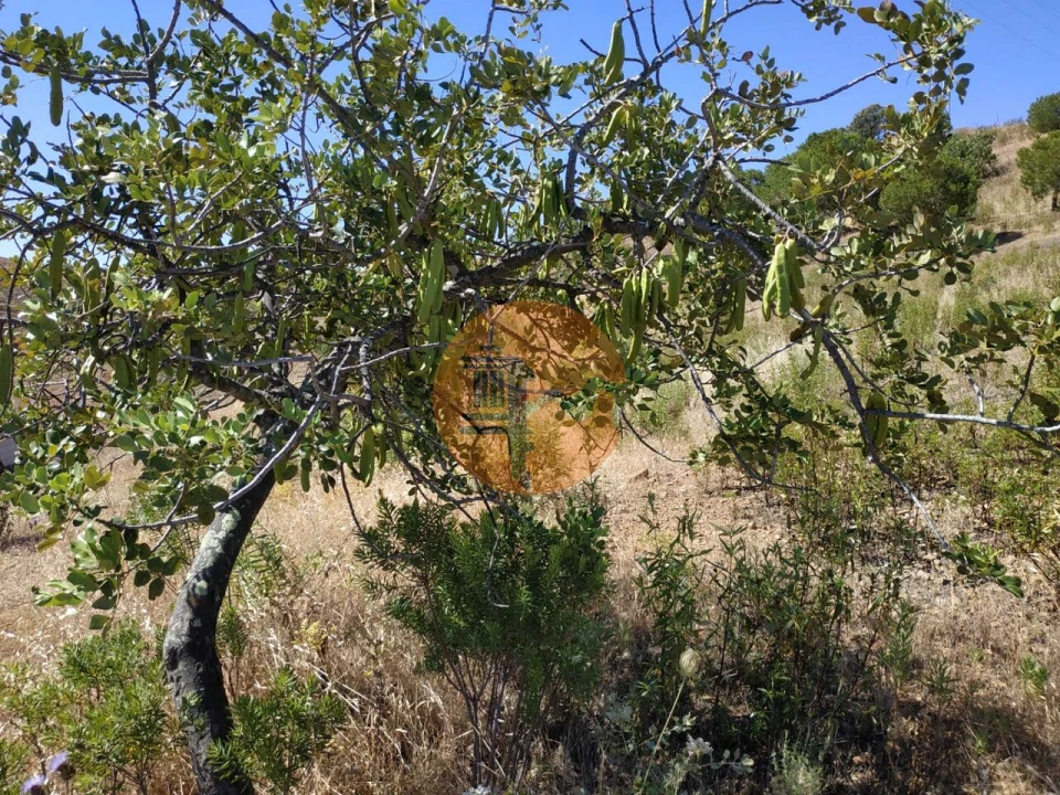 Terreno para Venda em Castro Marim Foto 20
