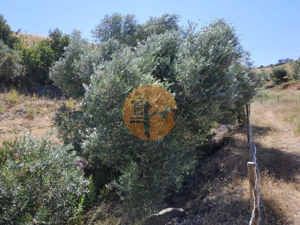 Terreno para Venda em Castro Marim Foto 30