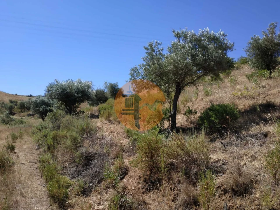 Terreno para Venda em Castro Marim Foto 31