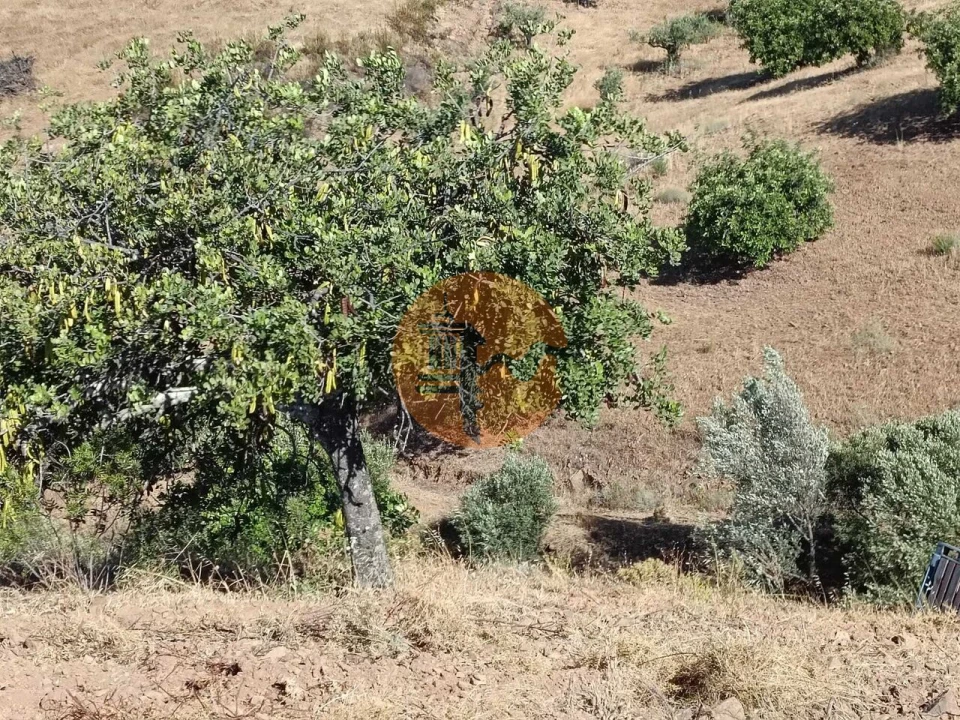 Terreno para Venda em Castro Marim Foto 46