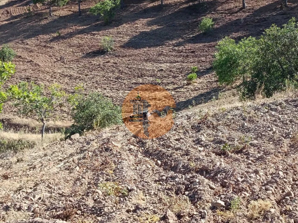 Terreno para Venda em Castro Marim Foto 49