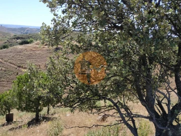 Terreno para Venda em Castro Marim
