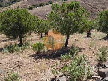 Terreno para Venda em Castro Marim