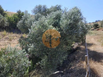 Terreno para Venda em Castro Marim