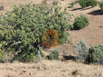 Terreno para Venda em Castro Marim