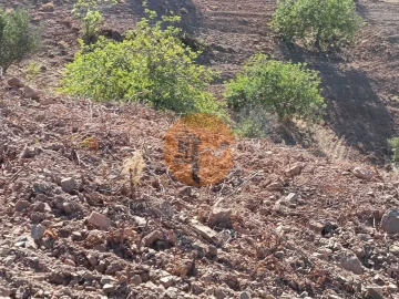 Terreno para Venda em Castro Marim