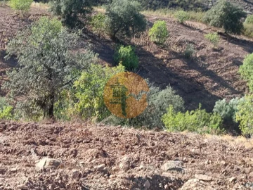 Terreno para Venda em Castro Marim