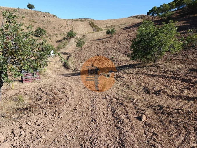 Terreno para Venda em Castro Marim Foto 37