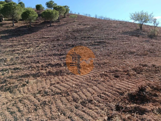 Terreno para Venda em Castro Marim Foto 38