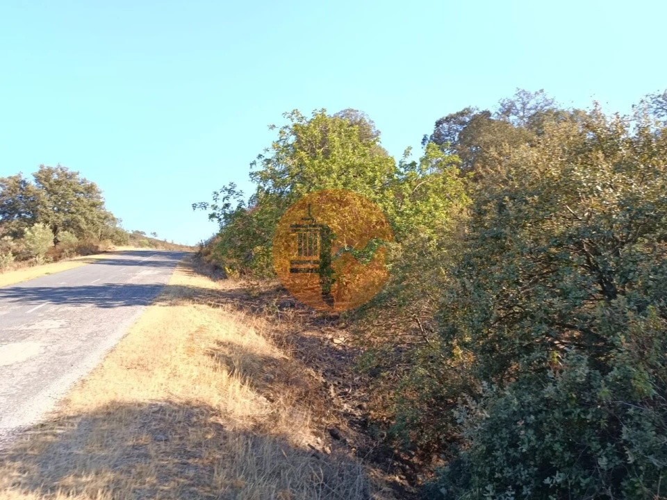 Terreno para Venda em Azinhal Foto 8