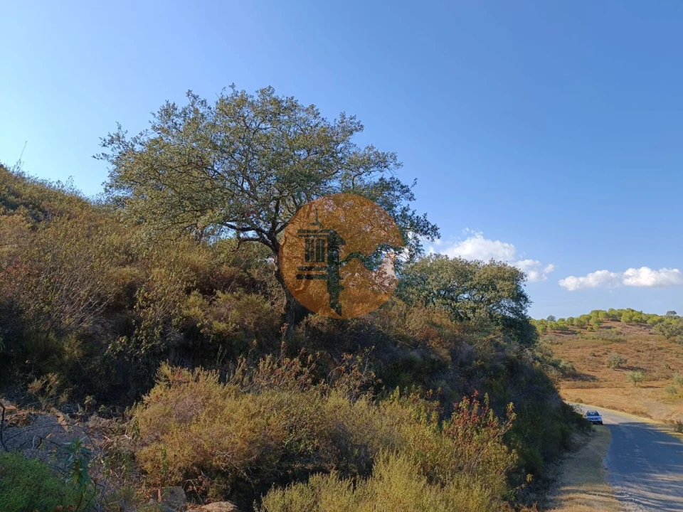 Terreno para Venda em Azinhal Foto 9