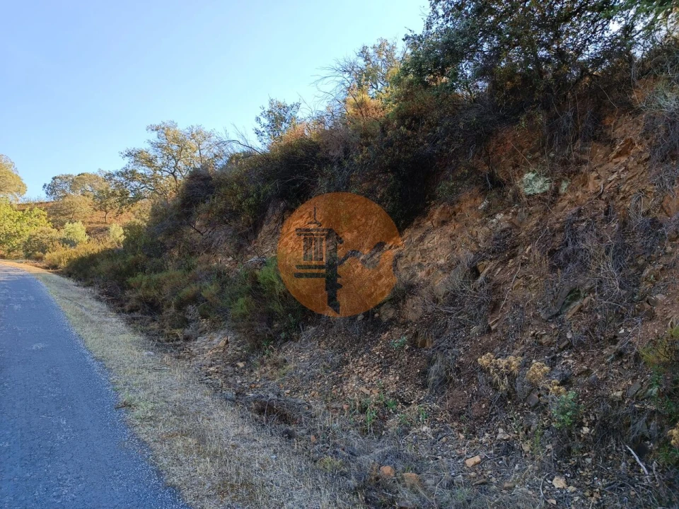 Terreno para Venda em Azinhal Foto 16