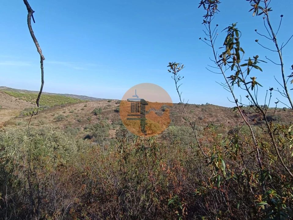 Terreno para Venda em Azinhal Foto 22