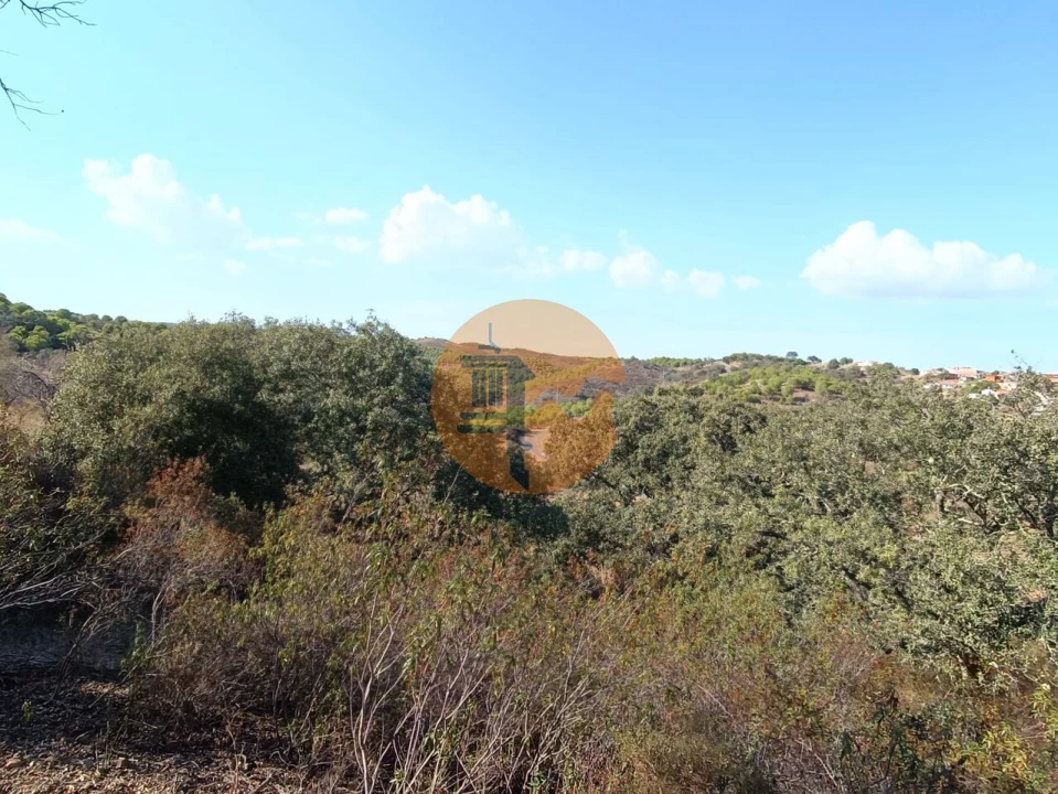 Terreno para Venda em Azinhal Foto 23