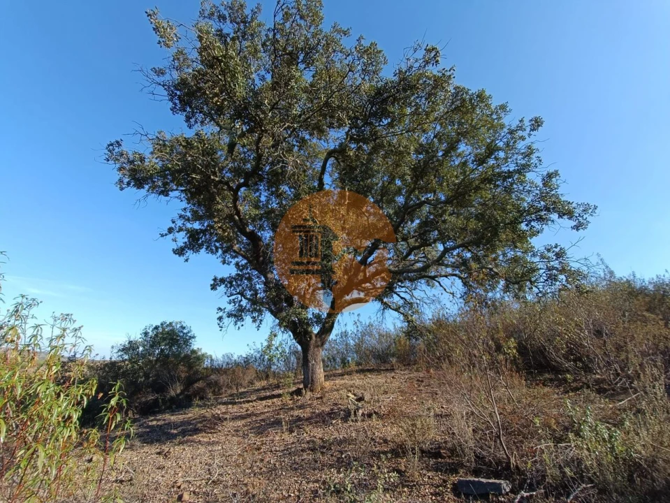 Terreno para Venda em Azinhal Foto 27