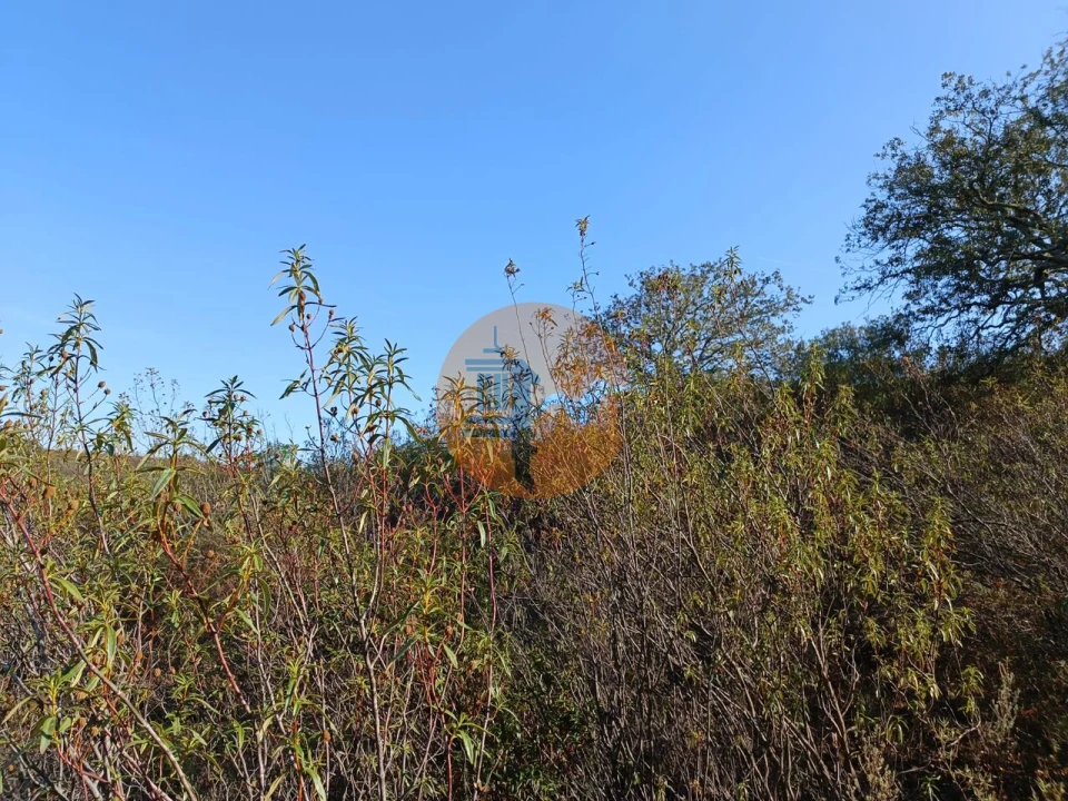 Terreno para Venda em Azinhal Foto 31