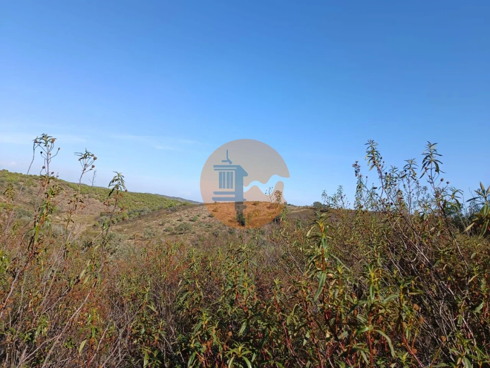 Terreno para Venda em Azinhal Foto 32