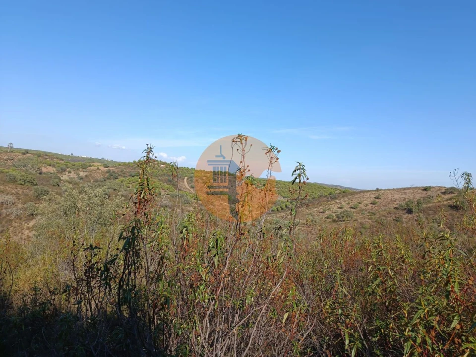 Terreno para Venda em Azinhal Foto 33