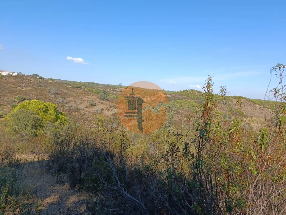Terreno para Venda em Azinhal Foto 34