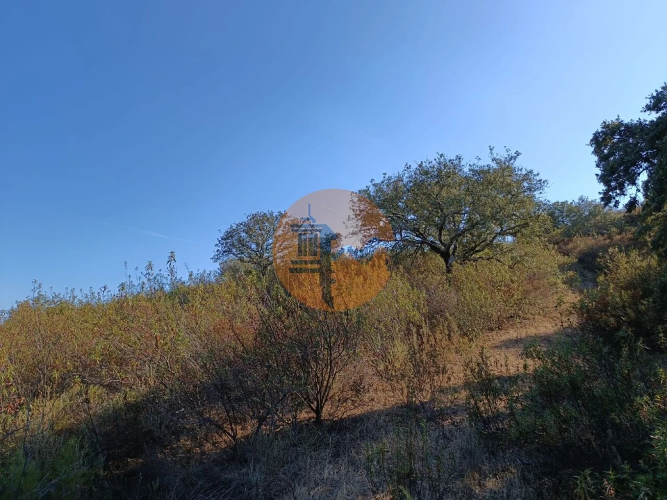 Terreno para Venda em Azinhal Foto 36