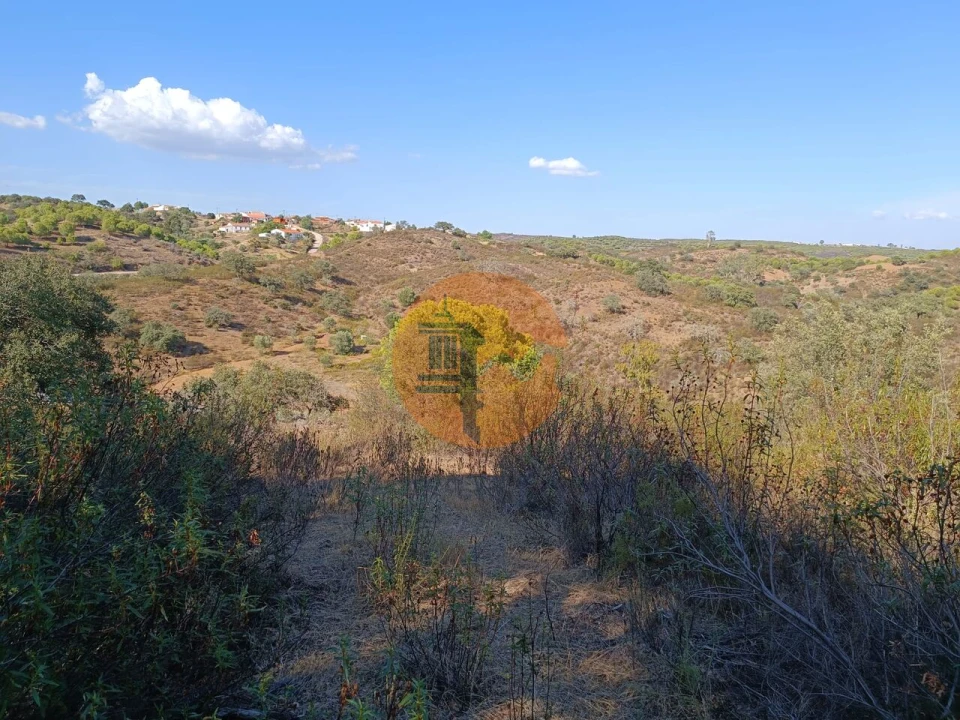 Terreno para Venda em Azinhal Foto 41