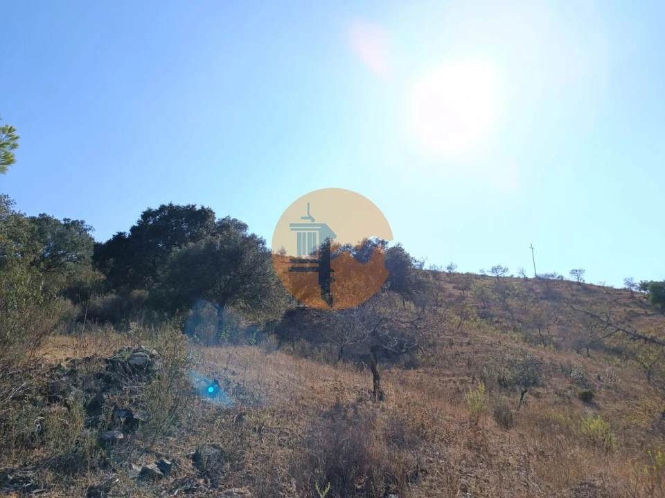Terreno para Venda em Azinhal Foto 43