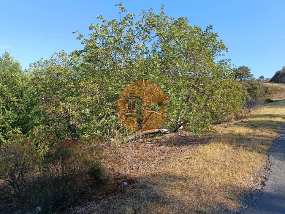 Terreno para Venda em Azinhal Foto 48