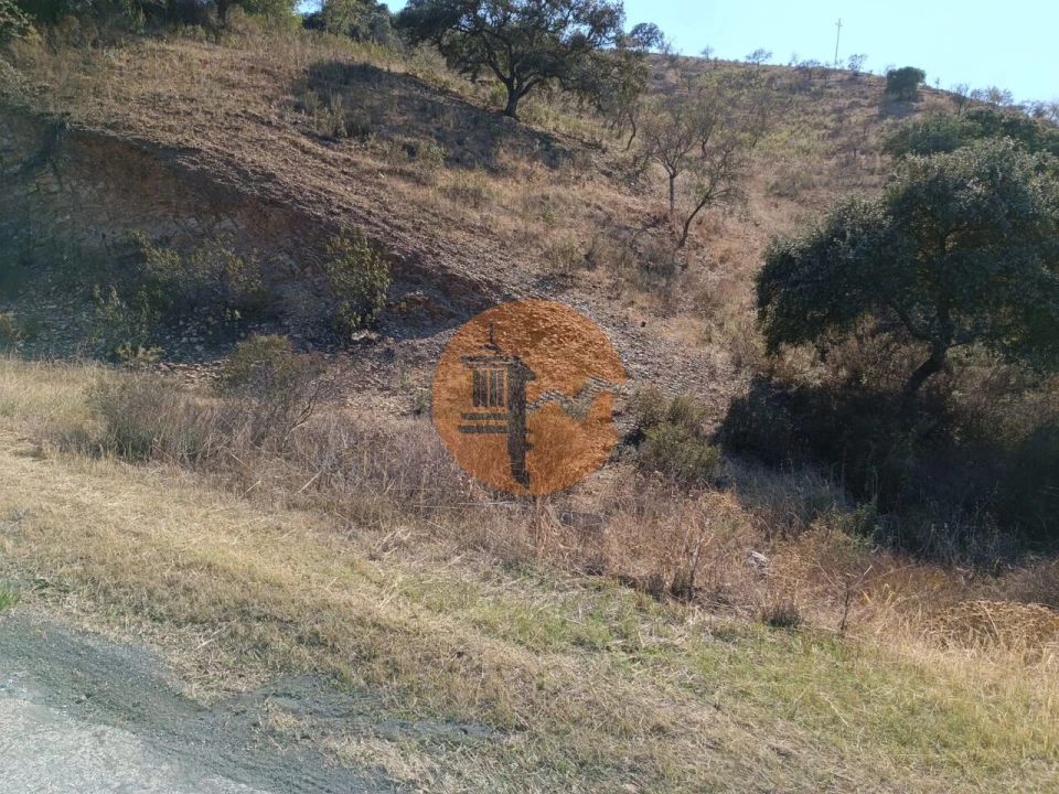 Terreno para Venda em Azinhal Foto 49