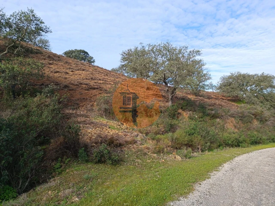 Terreno para Venda em Azinhal Foto 7