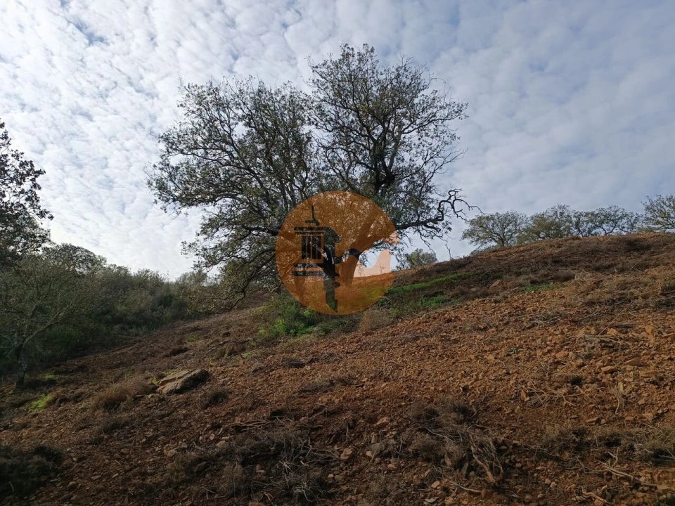 Terreno para Venda em Azinhal Foto 44