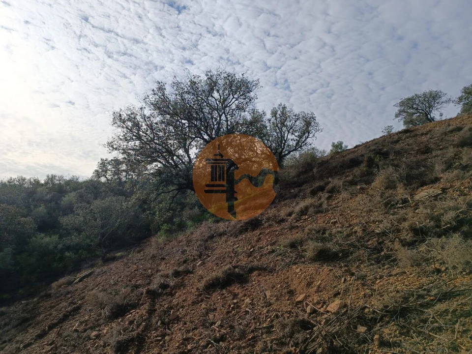 Terreno para Venda em Azinhal Foto 39