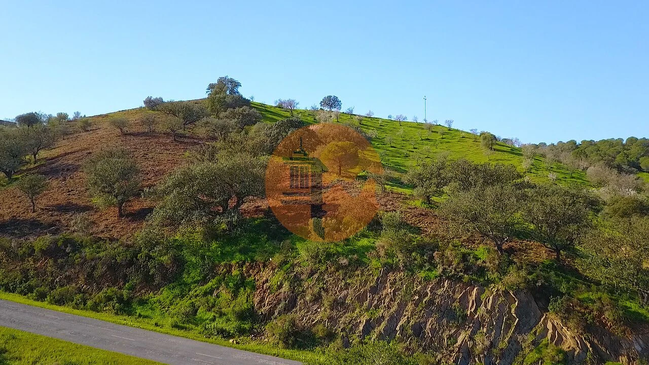 Terreno para Venda em Azinhal Foto 50