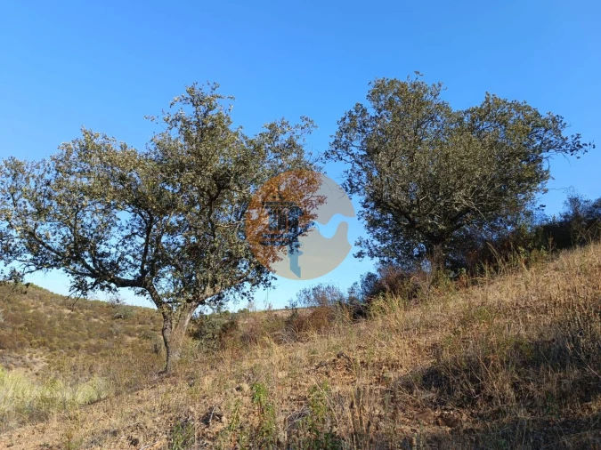Terreno para Venda em Azinhal Foto 5