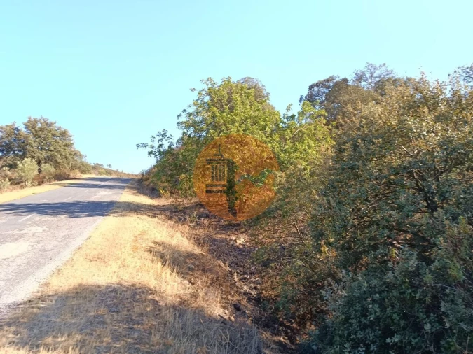 Terreno para Venda em Azinhal Foto 8