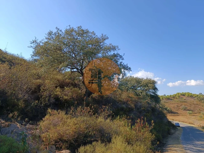 Terreno para Venda em Azinhal Foto 9