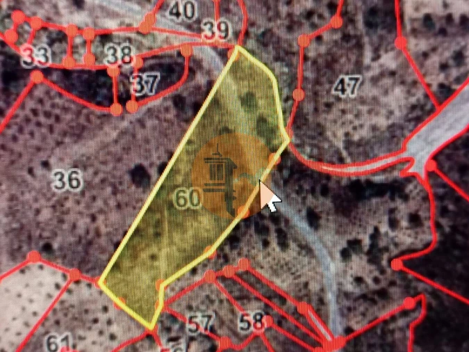 Terreno para Venda em Azinhal Foto 3