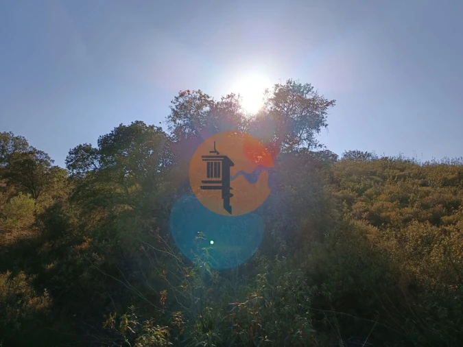 Terreno para Venda em Azinhal Foto 11