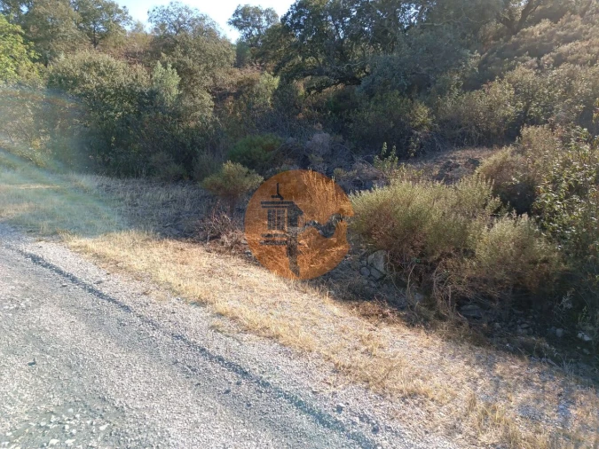 Terreno para Venda em Azinhal Foto 12