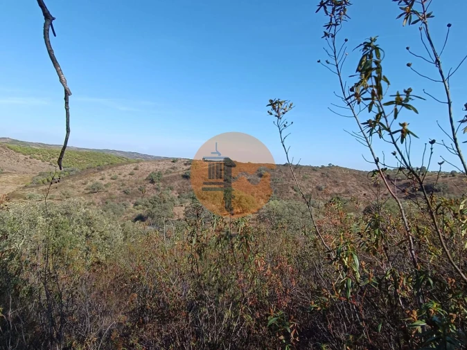 Terreno para Venda em Azinhal Foto 22