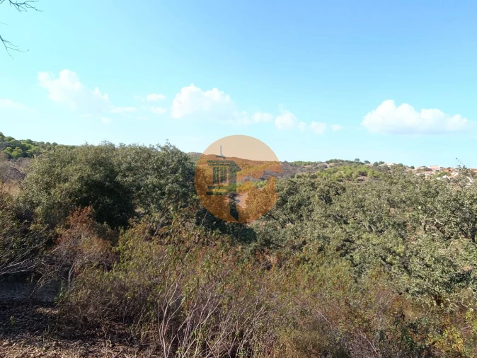 Terreno para Venda em Azinhal Foto 23