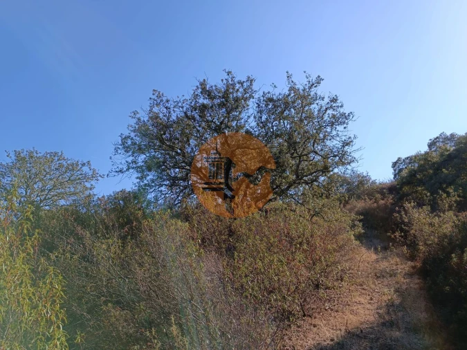 Terreno para Venda em Azinhal Foto 30