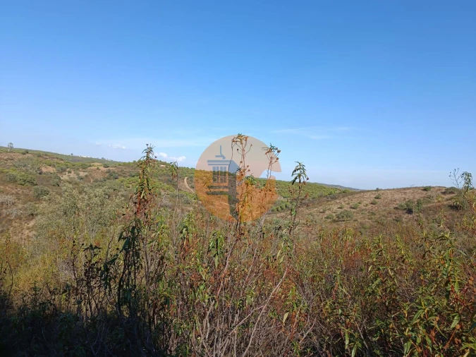 Terreno para Venda em Azinhal Foto 33