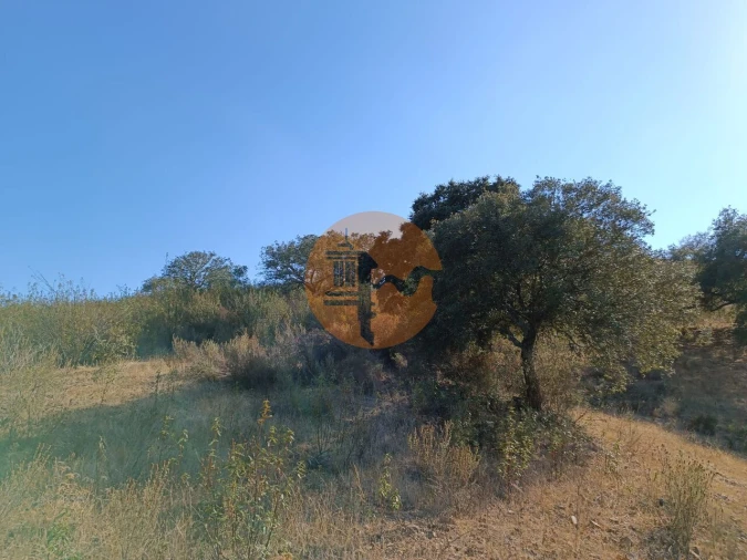 Terreno para Venda em Azinhal Foto 37