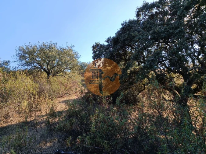 Terreno para Venda em Azinhal Foto 38