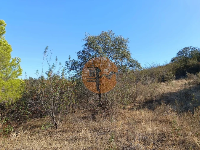 Terreno para Venda em Azinhal Foto 40