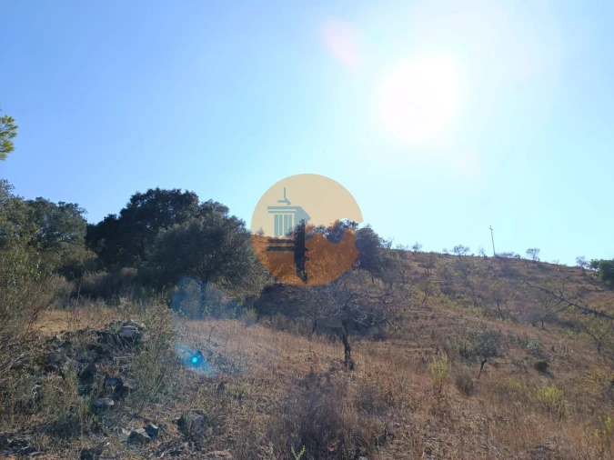 Terreno para Venda em Azinhal Foto 43