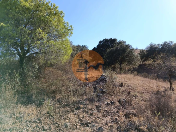 Terreno para Venda em Azinhal Foto 45