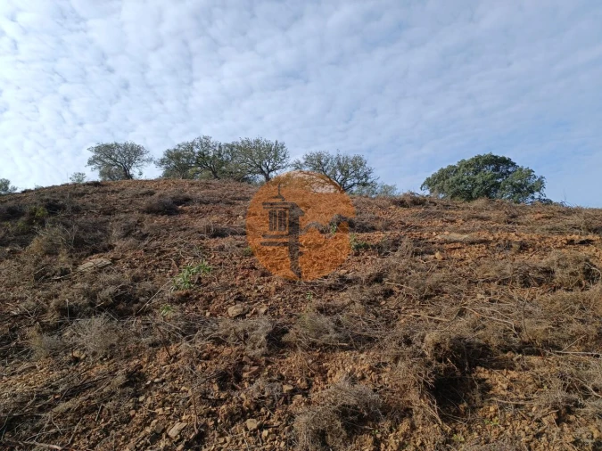Terreno para Venda em Azinhal Foto 20