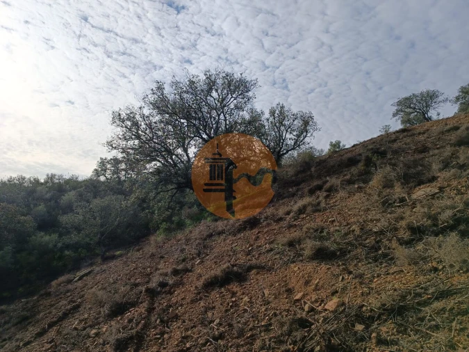 Terreno para Venda em Azinhal Foto 39